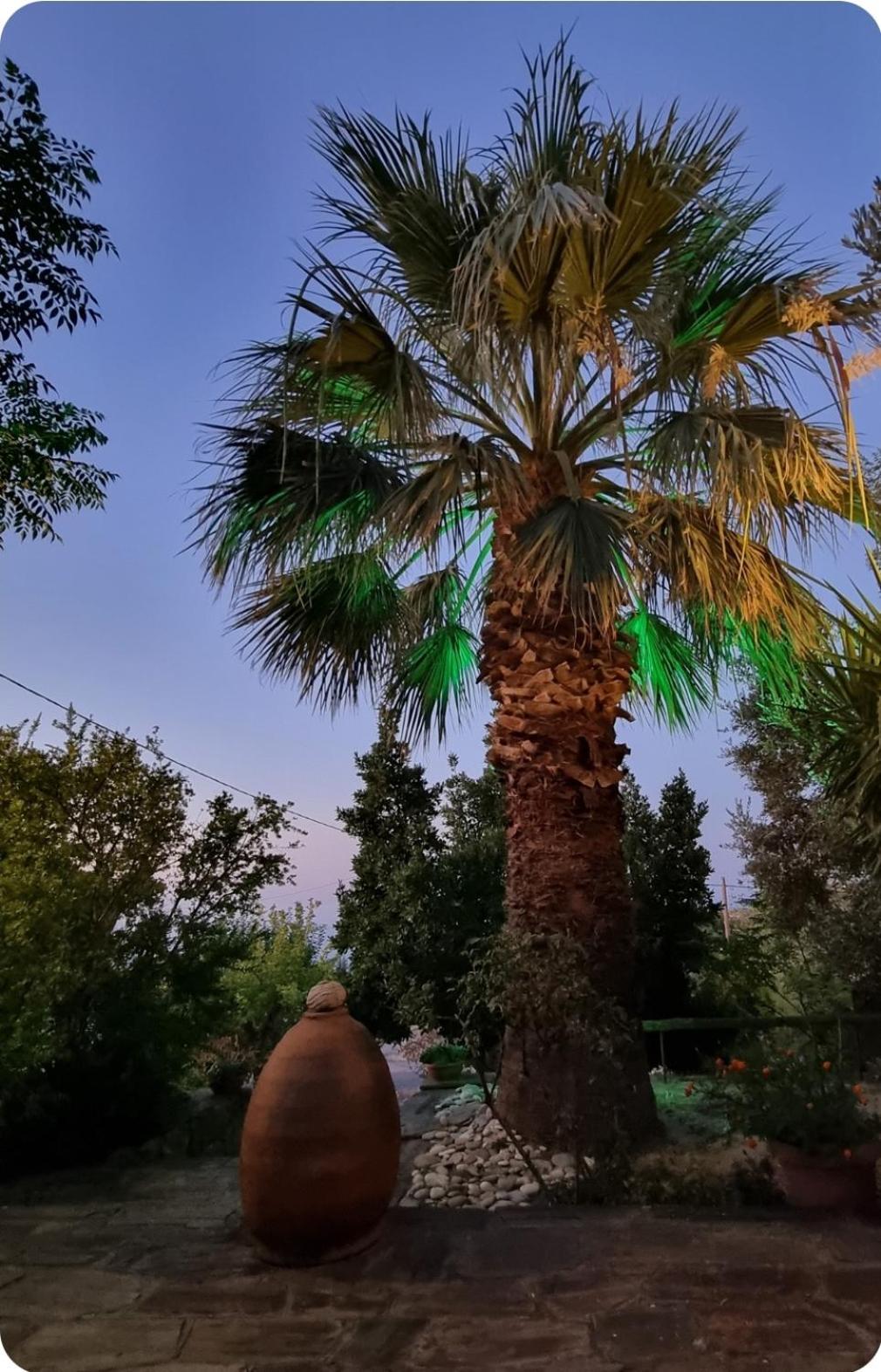 Spitikariotiko Ikarian Cottage Raches  Екстериор снимка